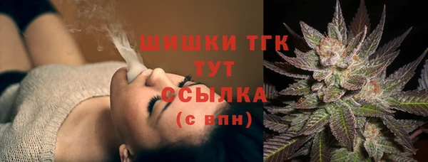 ALPHA PVP Иннополис