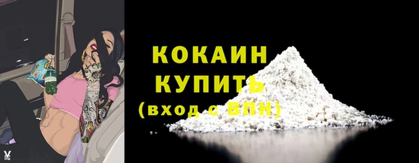 ALPHA PVP Иннополис