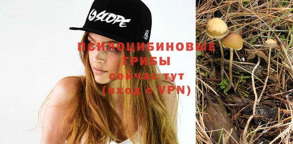 гашишное масло Инта